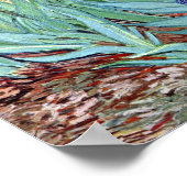 Irises van Vincent van Gogh 1898 Poster (Hoek)