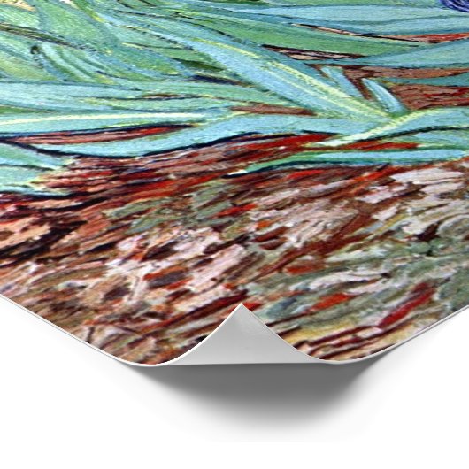 Irises van Vincent van Gogh 1898 Poster (Hoek)