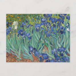 Irises van Vincent Van Gogh Briefkaart