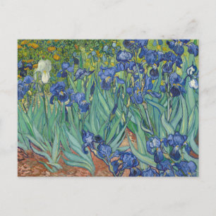 Irises van Vincent Van Gogh Briefkaart