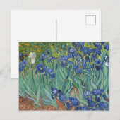 Irises van Vincent Van Gogh Briefkaart (Voorkant / Achterkant)