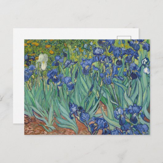 Irises van Vincent Van Gogh Briefkaart (Voorkant / Achterkant)