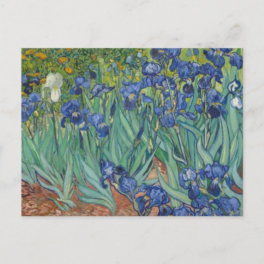 Irises van Vincent Van Gogh Briefkaart (Voorkant)
