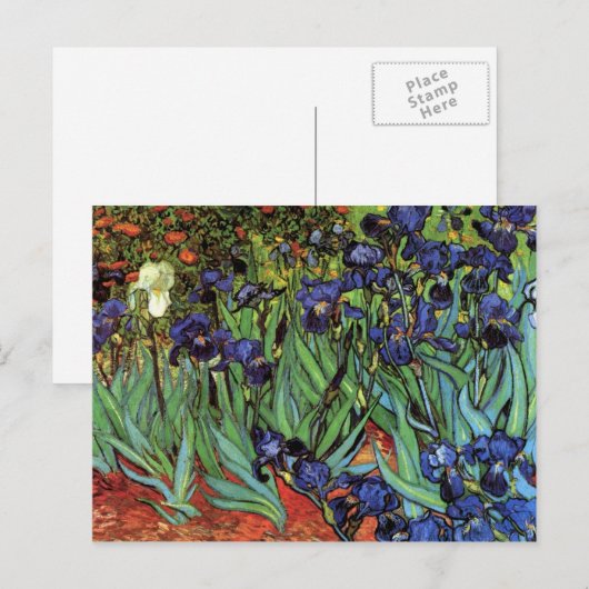 Irises van Vincent van Gogh Briefkaart (Voorkant / Achterkant)