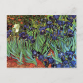 Irises van Vincent van Gogh Briefkaart (Voorkant)
