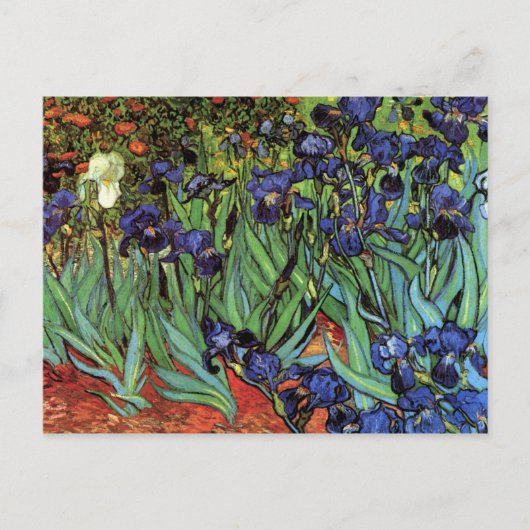 Irises van Vincent van Gogh Briefkaart (Voorkant)