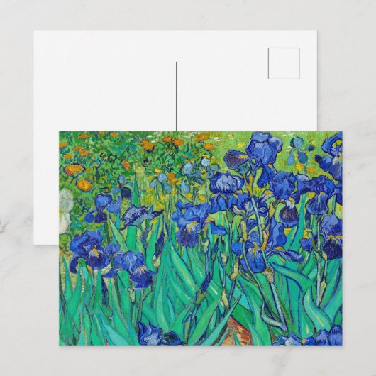 Irises van Vincent Van Gogh Briefkaart (Voorkant / Achterkant)