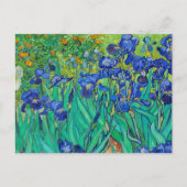 Irises van Vincent Van Gogh Briefkaart (Voorkant)