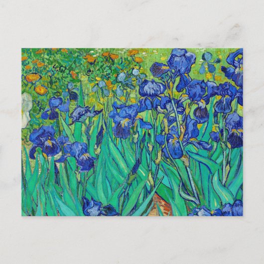 Irises van Vincent Van Gogh Briefkaart (Voorkant)