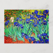 Irises van Vincent Van Gogh Briefkaart (Voorkant)