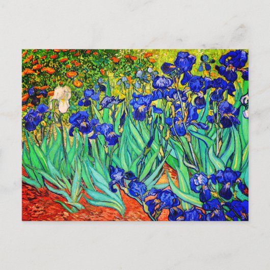 Irises van Vincent Van Gogh Briefkaart (Voorkant)