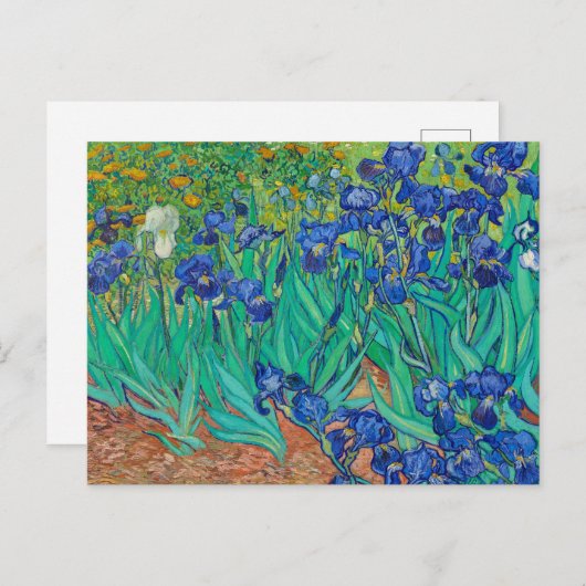 Irises van Vincent van Gogh Briefkaart (Voorkant / Achterkant)