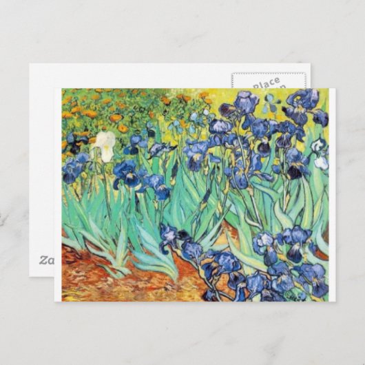 Irises van Vincent Van Gogh Briefkaart (Voorkant / Achterkant)