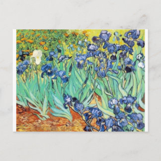 Irises van Vincent Van Gogh Briefkaart