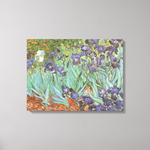 Irises van Vincent van Gogh Canvas Afdruk