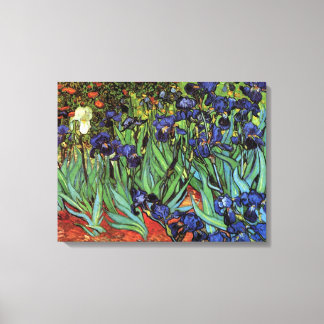 Irises van Vincent van Gogh Canvas Afdruk
