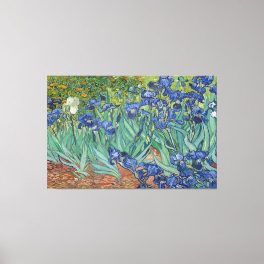 Irises van Vincent van Gogh Canvas Afdruk (Voorkant)