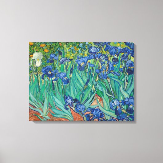 Irises van Vincent van Gogh Canvas Afdruk (Voorkant)