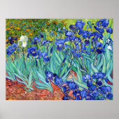 Irises van Vincent Van Gogh die een levendige schi Poster (Voorkant)