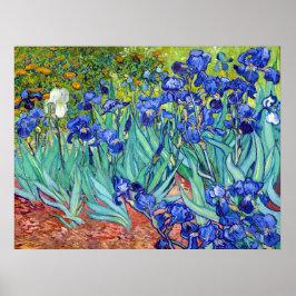 Irises van Vincent Van Gogh die een levendige schi Poster