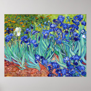 Irises van Vincent Van Gogh die een levendige schi Poster