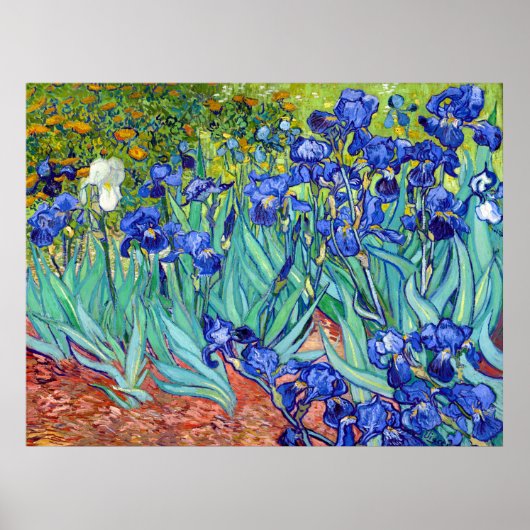 Irises van Vincent Van Gogh die een levendige schi Poster (Voorkant)