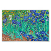 Irises van Vincent van Gogh Foto Afdruk (Voorkant)
