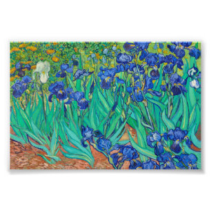Irises van Vincent van Gogh Foto Afdruk