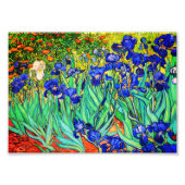 Irises van Vincent Van Gogh Foto Afdruk (Voorkant)