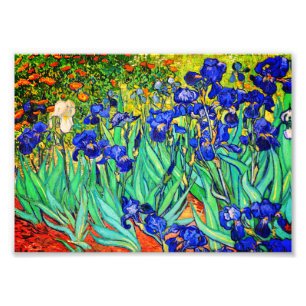 Irises van Vincent Van Gogh Foto Afdruk