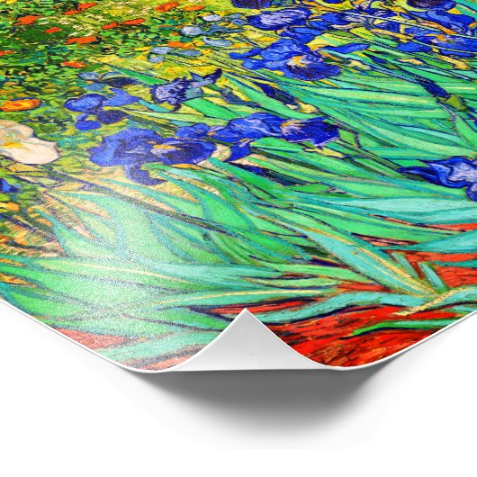 Irises van Vincent Van Gogh Foto Afdruk (Hoek)