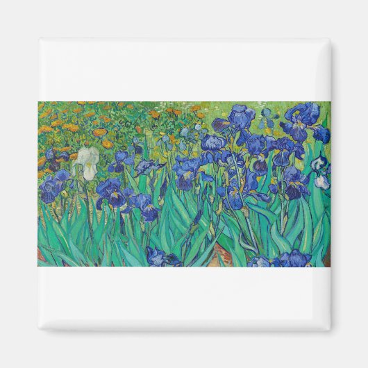 Irises van Vincent van Gogh Magneet (Voorkant)
