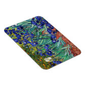 Irises van Vincent van Gogh Magneet (Rechterzijde)