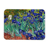 Irises van Vincent van Gogh Magneet (Horizontaal)