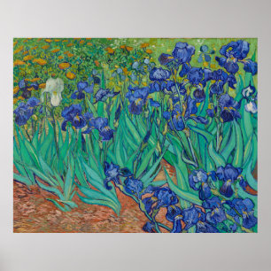 Irises van Vincent Van Gogh Poster