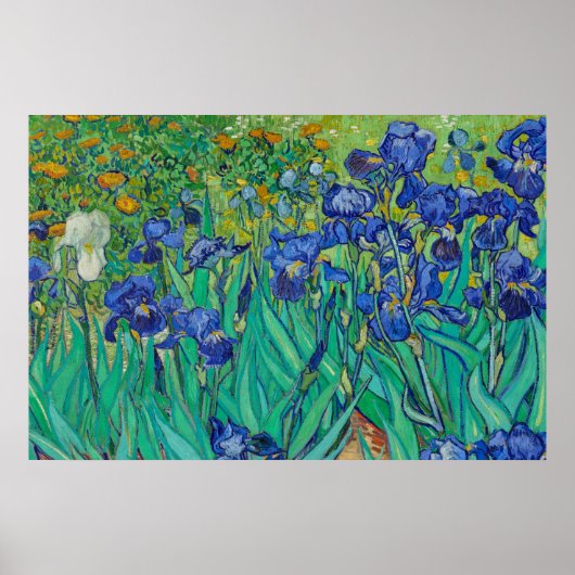 Irises van Vincent van Gogh Poster (Voorkant)