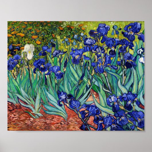 Irises van Vincent van Gogh Poster (Voorkant)