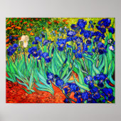 Irises van Vincent Van Gogh Poster (Voorkant)