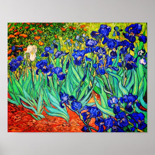 Irises van Vincent Van Gogh Poster (Voorkant)