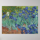 Irises van Vincent Van Gogh Poster (Voorkant)