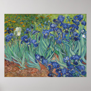 Irises van Vincent Van Gogh Poster