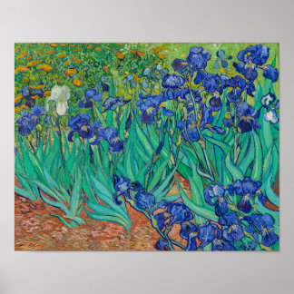 Irises van Vincent Van Gogh Poster