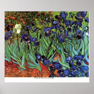 Irises van Vincent van Gogh Poster