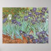 Irises van Vincent van Gogh Poster (Voorkant)