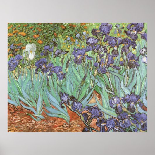 Irises van Vincent van Gogh Poster (Voorkant)