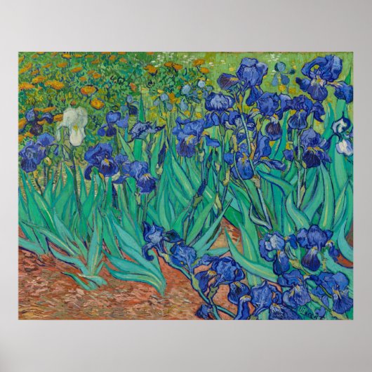 Irises van Vincent Van Gogh Poster (Voorkant)