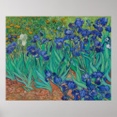 Irises van Vincent Van Gogh Poster (Voorkant)