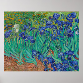 Irises van Vincent Van Gogh Poster