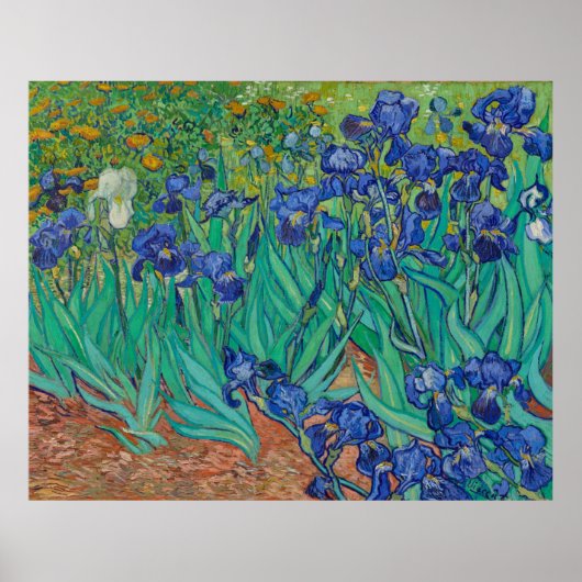 Irises van Vincent Van Gogh Poster (Voorkant)