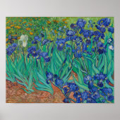 Irises van Vincent Van Gogh Poster (Voorkant)